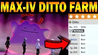 How to Farm MAX IV Dittos in Pokemon Sword & Shield: 1 MINUTE GUIDE!