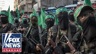 Professor's chilling warning on Iran, Hamas: 'Head of the snake is in Tehran'