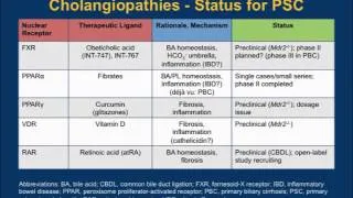 Novel Therapeutic Targets in PBC, PSC, and NASH: Translating Knowledge into Tomorrow's Practice