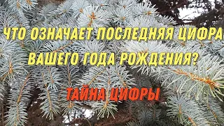 Что значит последняя цифра вашего года рождения? Тайна последней цифры года рождения