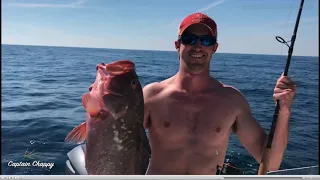 How to find red grouper in the Gulf of Mexico