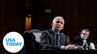 Senate Committee hearing on COVID-19 with Dr. Fauci (LIVE) | USA TODAY