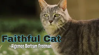 The Story of Faithful Cat by Algemon Bertram Freeman