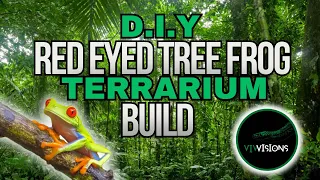 D.I.Y RED EYED TREE FROG TERRARIUM BUILD.🐸