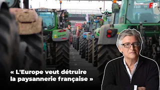 « L'Europe veut détruire la paysannerie française » : le soutien de Michel Onfray aux agriculteurs