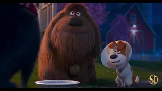 The Secret Life of Pets 2 (2019) | Clip | Universal Pictures