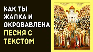 Юлия Берёзова - Как ты жалка и окровавлена | Песня на стихи Владимира Палея с текстом