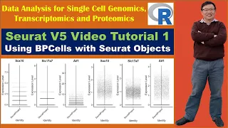 Seurat V5 Video Tutorial 1: Using BPCells with Seurat V5 Object