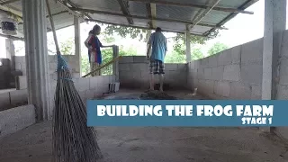 Building the Frog Farm - Stage 1