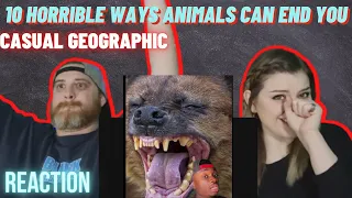 "10 Horrible Ways Animals Can End You" @mndiaye_97 | HatGuy & Nikki react