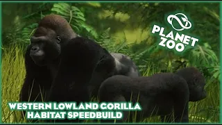 Western Lowland Gorilla Habitat Speed Build!!! Planet Zoo