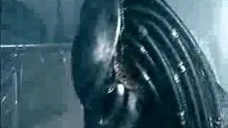 Alien Vs Predator (Shower)