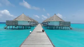 Angaga Maldives resort review room tour