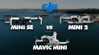 Mini SE vs Mavic Mini vs Mini 2 - DJI Mini Drone Comparison | DansTube.TV