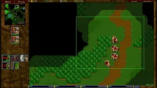 Warcraft 2 Garden of War 2v2 u8t3io3p/shotgun vs Startale/[TD]Wargasm