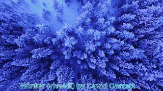 Winter Vivaldi by David Garrett