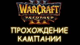 WarCraft 3 Reforged Прохождение №05 Ночные эльфы