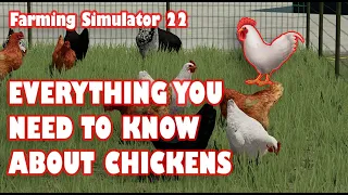 FS22 Chicken Ultimate Guide (2023)