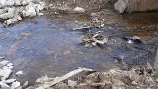 Ржевский лесопарк: река Лапка в трубе, под мостом