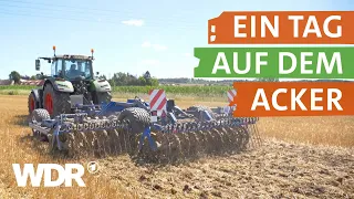 Annis Leben als Landwirtin | neuneinhalb – Deine Reporter | WDR