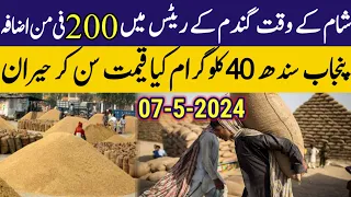 good news/  Wheat price in Pakistan 2024/wheat price in punjab 2024 gundam