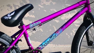 2019 Enigma - Forgotten BMX co