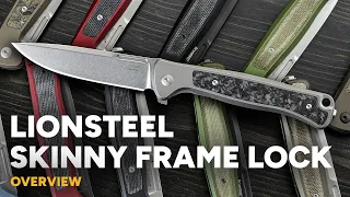 LionSteel Skinny - MagnaCut Frame Lock Overview