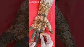 lace mehndi trick by Anabia mehndi art ll short video