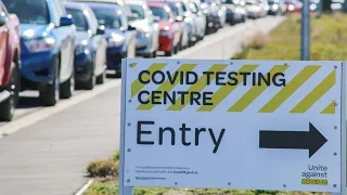 New Zealand records 31 new COVID-19 cases