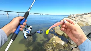 Fishing the JETTY and BEACH! (Catch and Cook) First Time Eating This!