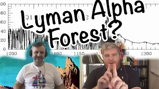 What is the Lyman Alpha Forest? Alas Lewis and Barnes