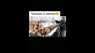 Гоцули пиздят лес #shorts лучшие приколы 2021