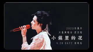 【Hi-res + 杜比视界】华晨宇《小镇里的花》 2023火星演唱会·武汉场 live 8k 5月28日 四机位混剪