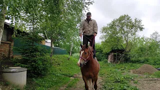 ВИРІШИВ ПРОКАТНУТИСЯ, НЕ ВДАЛОСЯ/КОНІ В УКРАЇНІ/Коні Ваговози 🔥