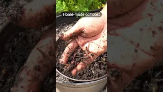 Revitalize Potting Soil #shorts