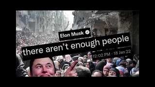 Elon Musk & the "Underpopulation" Crisis