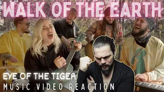 Walk Of The Earth - Eye Of The Tiger (Cover) - First Time Reaction