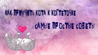 КАК ПРИУЧИТЬ КОТА К КОГТЕТОЧКЕ//СОВЕТЫ