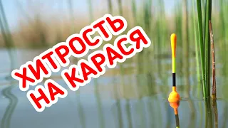 ХИТРЫЕ КАПЛИ на КАРАСЯ. Рыбалка на поплавок в диком заливе.