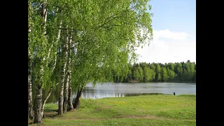 172. ПЕСНЯ ЗИНАИДЫ КОПЬЁВОЙ " ШИРЬ ПОЛЕЙ"