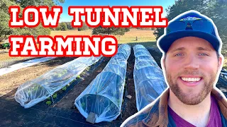 🤩 How to Build Low Tunnels & Extend Your Growing Season for MONTHS🥬