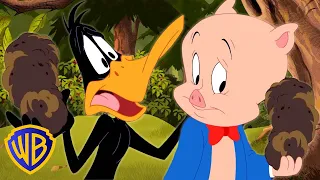 Looney Tunes in Italiano 🇮🇹 | Daffy AMA il Tartufo | WB Kids