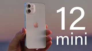 iPHONE 12 MINI: мал золотник, да дорог.