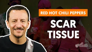 SCAR TISSUE - Red Hot Chili Peppers (aula de baixo)