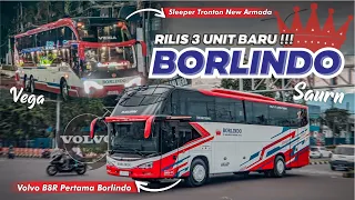 Volvo B8R Pertama Di Sulawesi !! Rilis 3 Unit Dari Karoseri Yang Berbeda | Skylander R22 & Avante H8