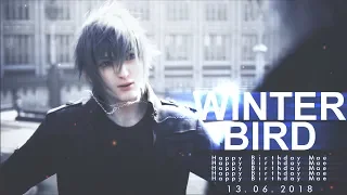 noctis lucis caelum | WINTERBIRD (HBD Mae ♥.)