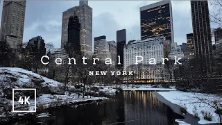 New York City walk - Central Park, 5th Avenue, Bryant Park, 42nd Street, NYC, Manhattan 4K 60fps