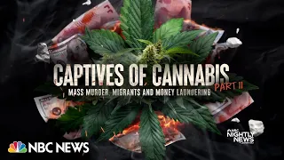 Captives of Cannabis: Marijuana black market tied to international organized crime?