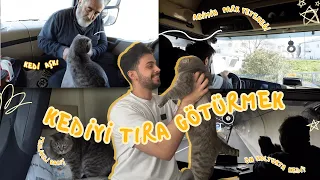 KEDİYİ TIRLA İŞE GÖTÜRMEK 🐱 🚛 | babamın kedi sevgisi 👨