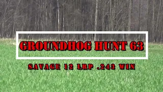 Groundhog Hunt 63 Savage 12 LRP  243 win